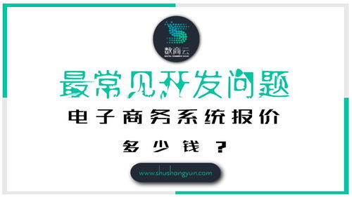 最常见开发问题 电子商务系统报价多少钱