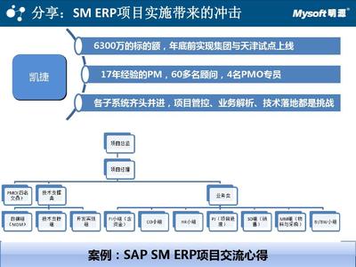 参考-SAP实施方法论与IBM项目管理体系PPT